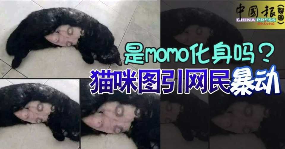 Screenshot_20210630-213925_Facebook.jpg