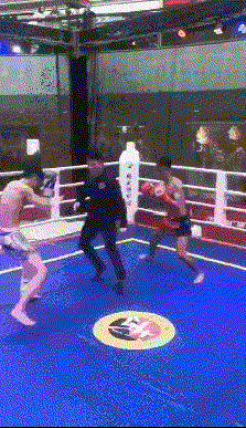 72a4f13b5bb5c9ea9d43b7b4c239b6003bf3b3f1.gif