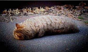 WeChat Image_20211020144639.jpg