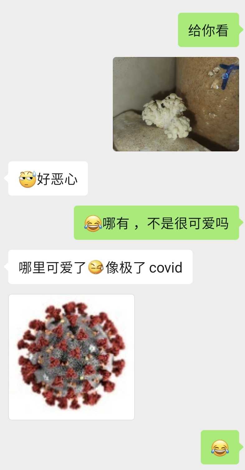 Screenshot_20211030-195342_WeChat.jpg
