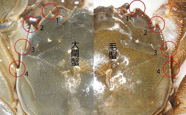 1512551495-3845970885_n.jpg