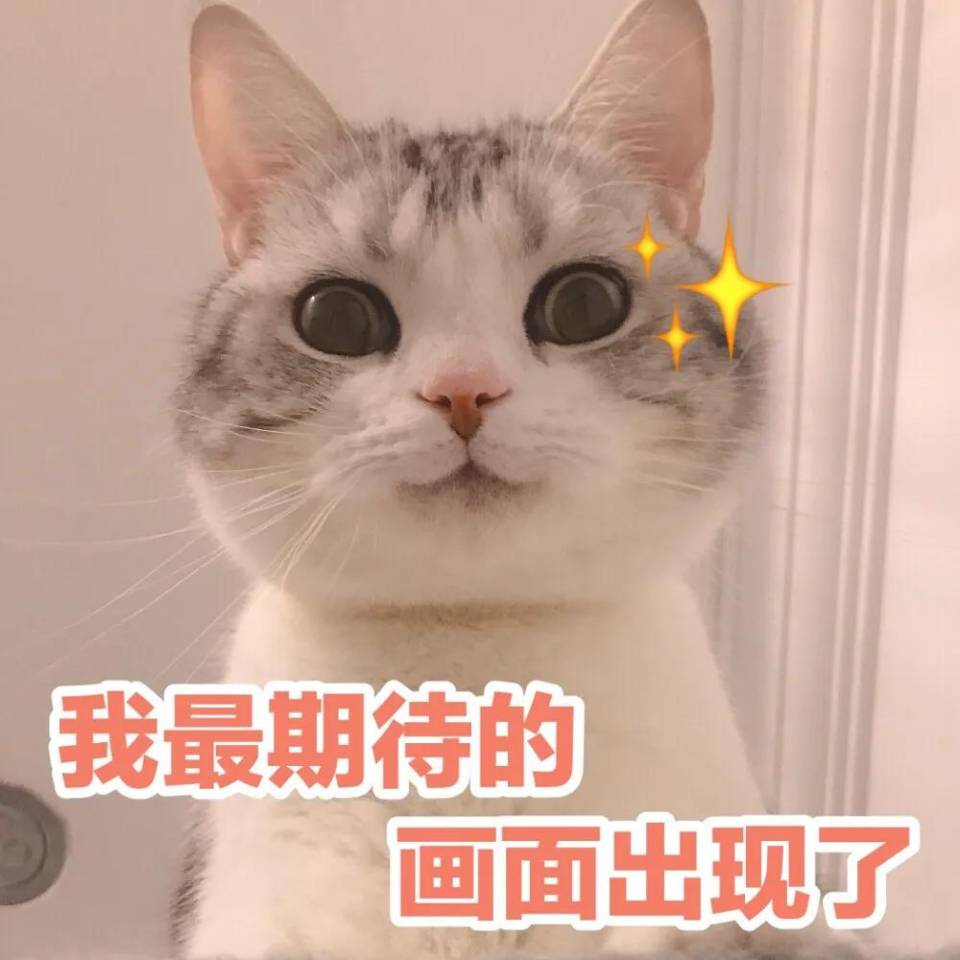 a5fc1ea5c2c544c79d34d837448351b2.jpg