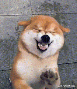 t01b625060b696738a7.gif