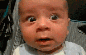 1528711333499b75cbf81c8.gif