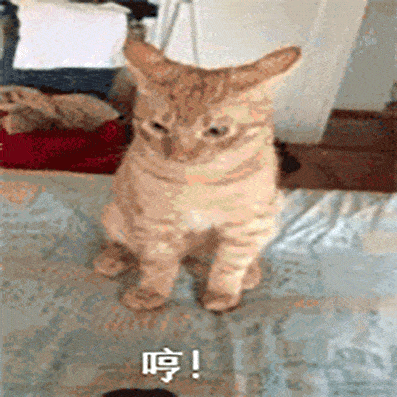 770eae36297b481fba816a29501c1a22.gif