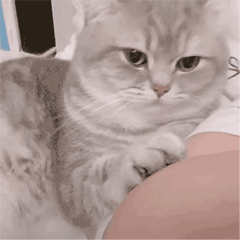 3ed258f0e3550265.gif