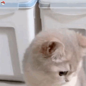 unnamed.gif