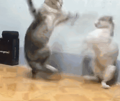 L4oe-hhkusks9572928.gif
