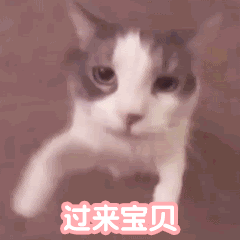 unnamed.gif
