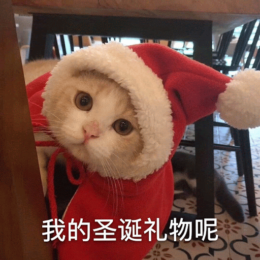 unnamed.gif