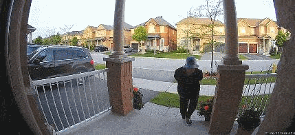 p2438851a948994056.gif