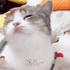 606465e8495c0cXE.gif