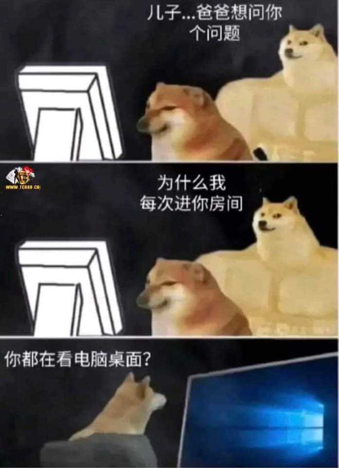 FB_IMG_1637676313061.jpg