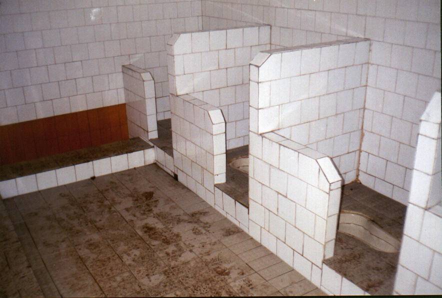 7stars toilet.jpg