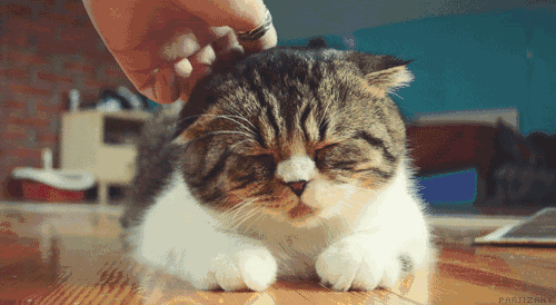 unnamed.gif