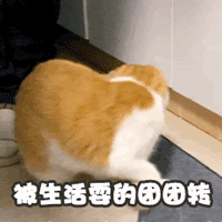 unnamed.gif