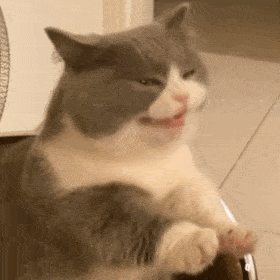 80843e03578352b1f94dc3f99bacf40f18100b13.gif