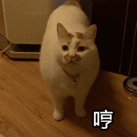 b0fe225d40a9850e26d8489952c53a5c332a21c67a08d-cIOjxN_fw658.gif