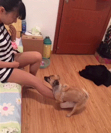 unnamed.gif