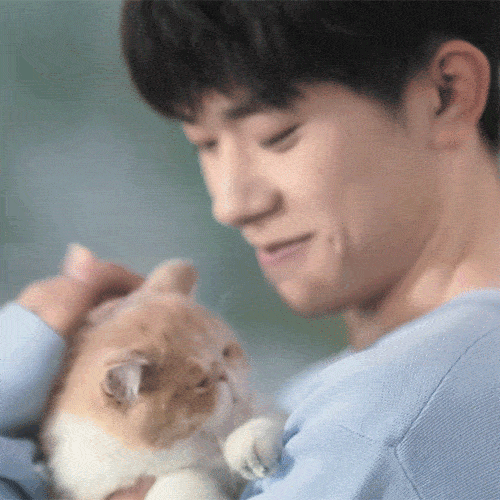 359a74bff1acb077.gif
