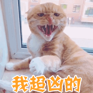 ef7339253baa24b7.gif