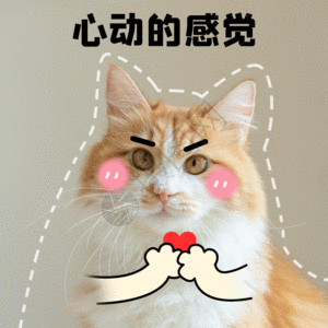 8915.gif_wh300.gif