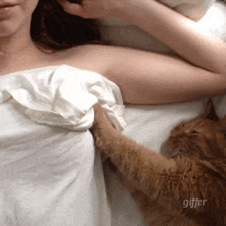 4bcd7e738c57457ab6ce54e648704a1b_th.gif