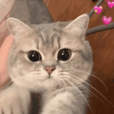 607096466f50aKSg.gif