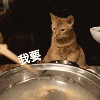 gimme-some-i-want-some.gif