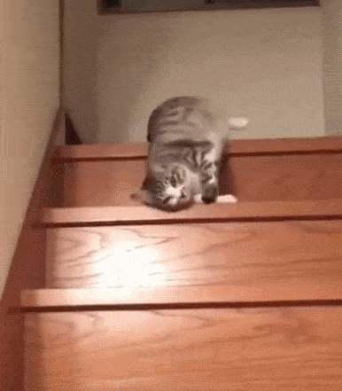 7e92e1294e174673b1573817cf86cf77.gif