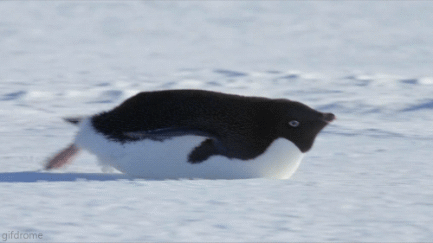 1beb916ea1704e75a5d132e27f3b843f.gif