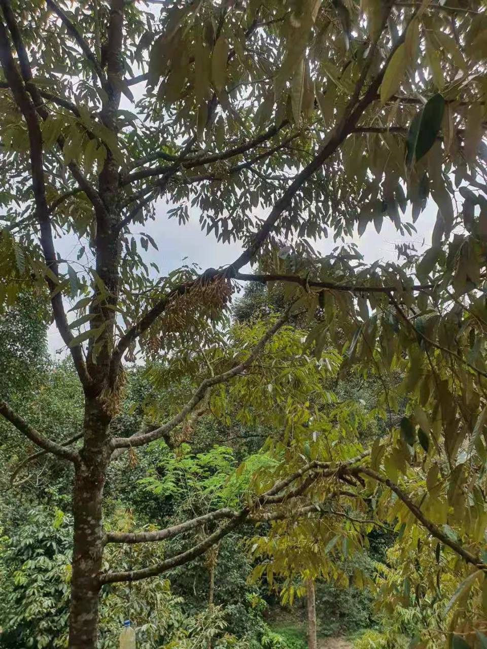 WeChat Image_20220214093934.jpg