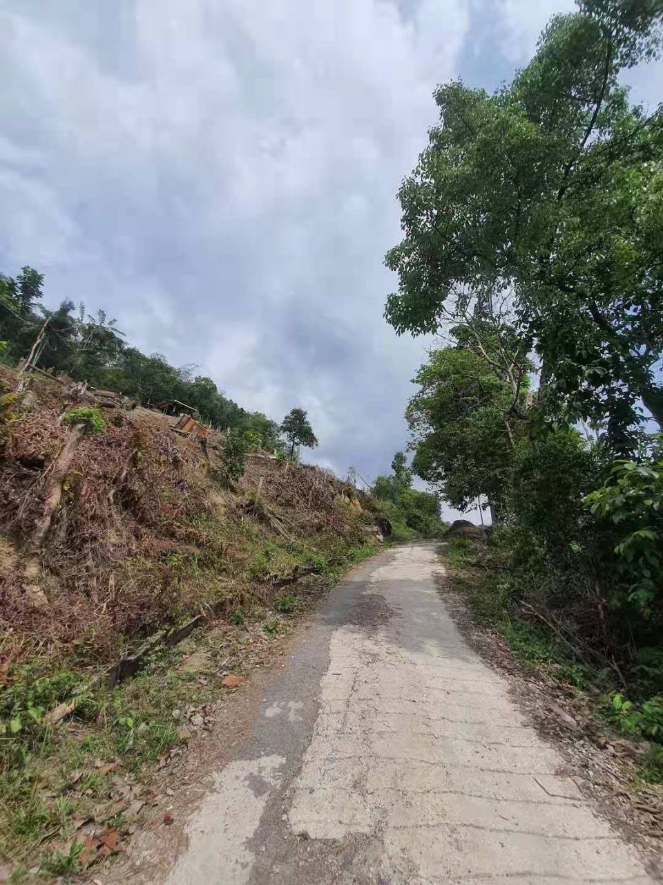 WeChat Image_20220214094628.jpg