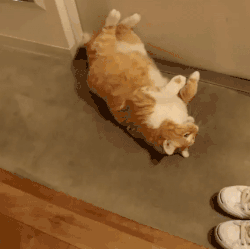 v2-d4b8937b5b96762ff725e7280fb1d3cc_b.gif