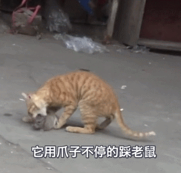 3988c0002b3588c1d7d2f.gif