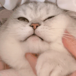 3bfe6460d7e522bf.gif