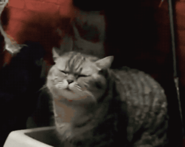 02.gif