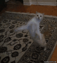 200w.gif