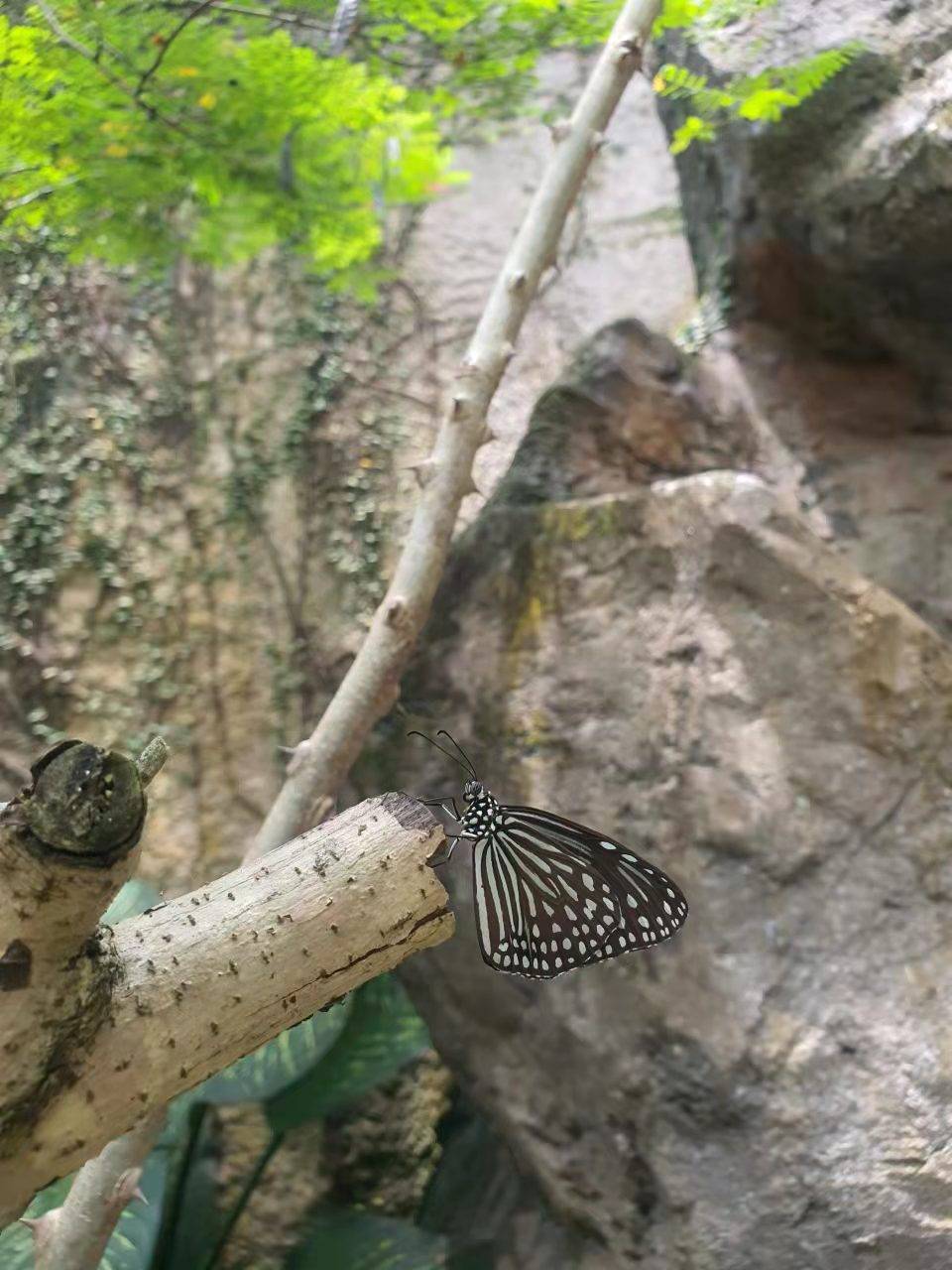 WeChat Image_20220321082537.jpg