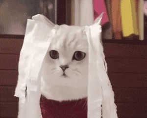 4dc4c9b3b781df0c699984637c12f596.gif