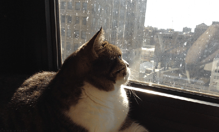 4dc4c9b3b781df0c699984637c12f596.gif