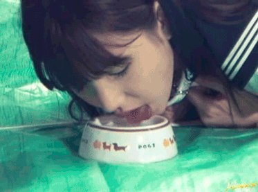 12.gif