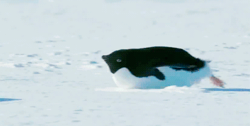 0.gif