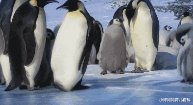 4dc4c9b3b781df0c699984637c12f596.gif