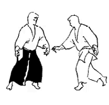 aikido.gif