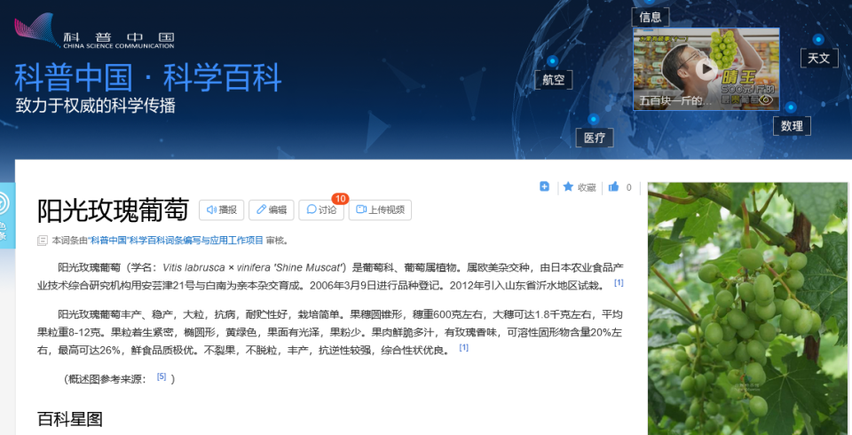 Screenshot 2022-07-09 at 13-45-53 阳光玫瑰葡萄_百度百科.png