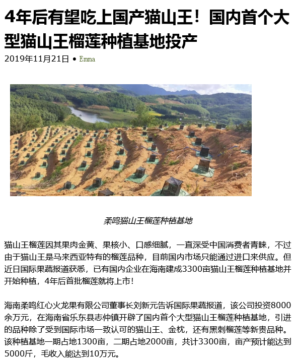 Screenshot 2022-07-09 at 14-59-26 4年后有望吃上国产猫山王！国内首个大型猫山王榴.png
