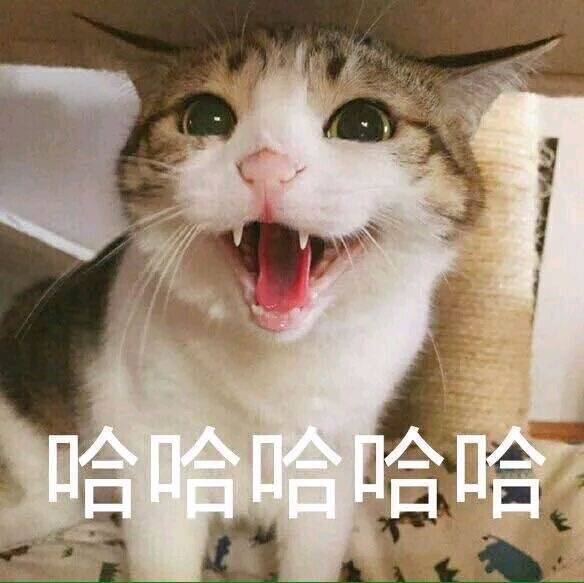 9fb7c7fde7a69024feefcdf2c0f4eb7b.jpg