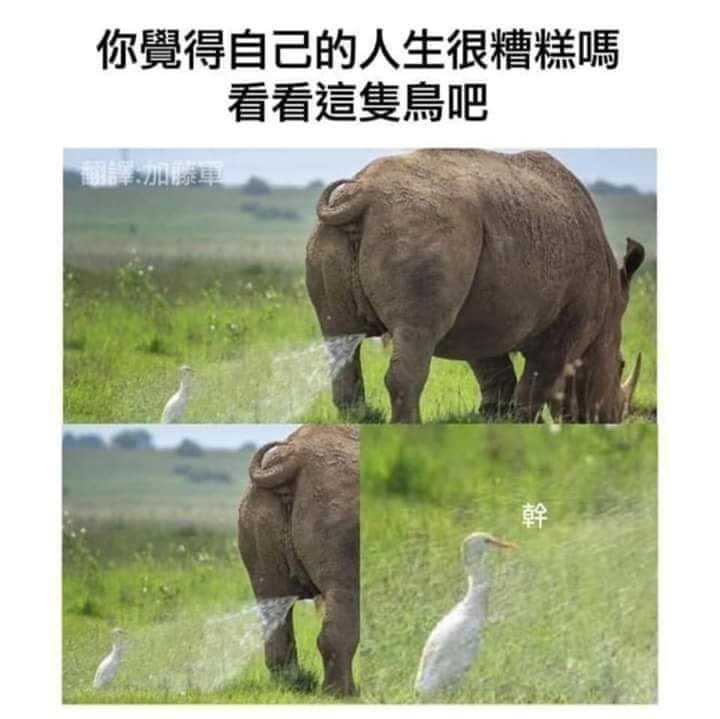 FB_IMG_1658449298833.jpg