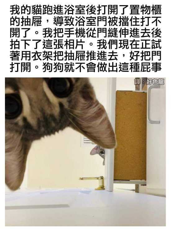 FB_IMG_1658452206849.jpg